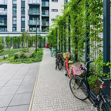 Family Malta By Renters *